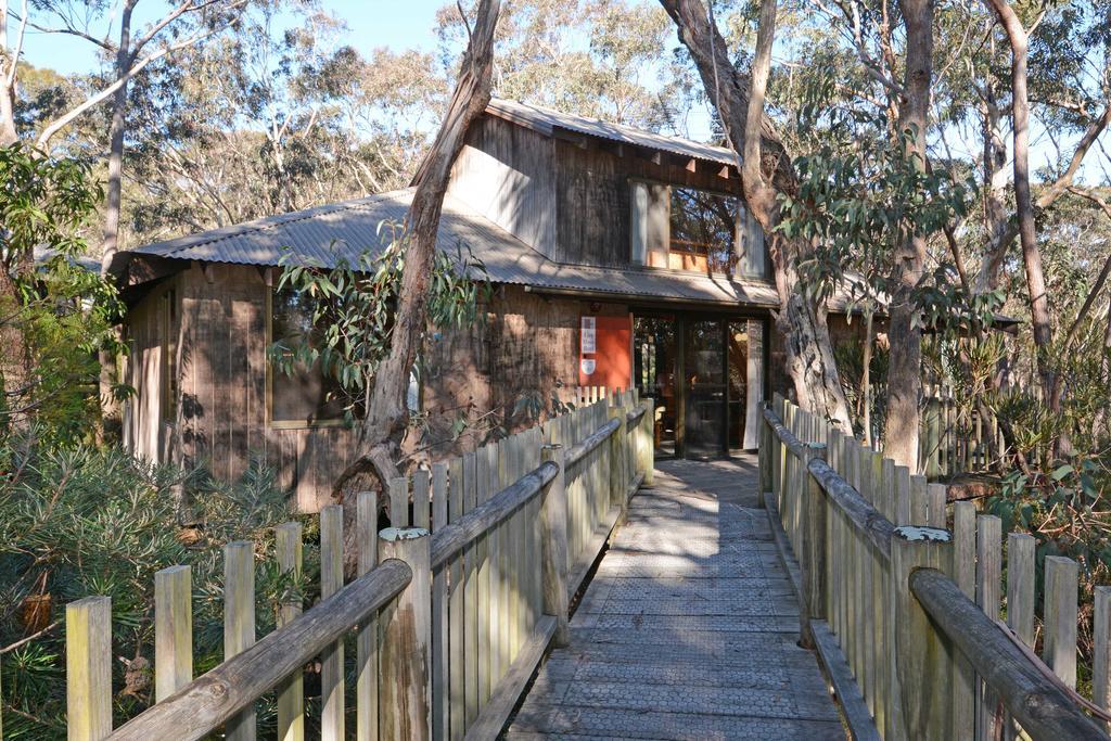 Jemby Rinjah Ecolodge Blackheath Room photo